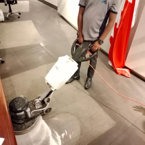 polishing (2)